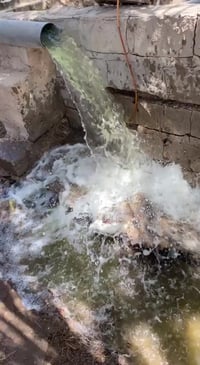 بستان • ١٩٥٠م٢ • كربلاء العباس الدالية