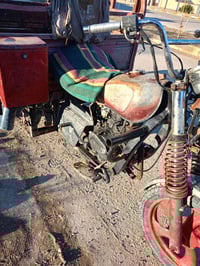 ستوته • شغاله • الكرابله