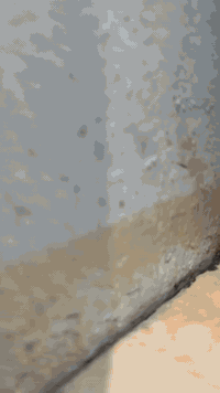 ✨ جبنس بورد ✨ نقدّم أحدث أعمال الجبنس بورد بتصاميم حديثة تناسب كل الأذ...