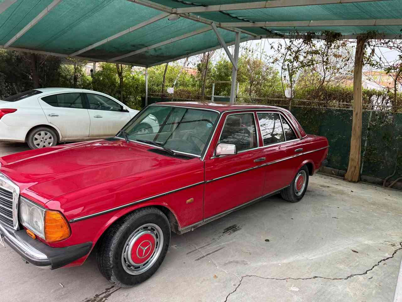 مارسیدس تختە مۆدیل ١٩٨٤ گێر تۆماتیک مەکینە بطە تەبرید ساردی و گەرمی بی نقوستانی ٥ پارچی سبوخە بە حیزام دەفرۆشم دەعم و برانەوە لێدرانی بەشەرت نرخی ٦٢$ ماجال ژینگە و رەقەم و سەنەوی هەتا ٢٠٣٠ نوێیە *********** أربيل, العراق
