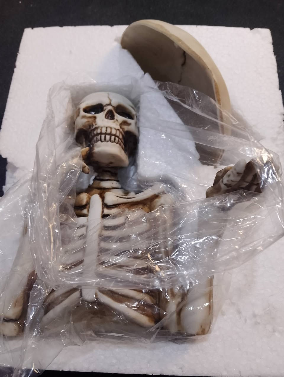 جمجمه حجم كبير لبيع


**إذا كنت صاحب هذا الإعلان وتريد حذفه لأي سبب، رجاءا أرسل رسالة إلى الدعم الفني**