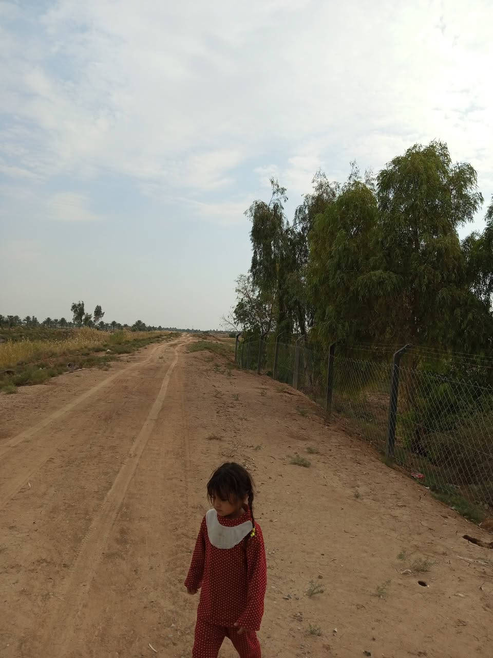 ارض زراعية ١٣دونم تحويل عقد بسمك مباشر ديالى خان بني سعد قرب حي علي الهادي سعر مناسب***********
