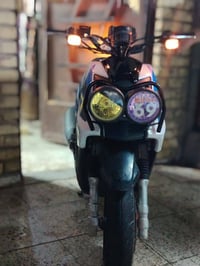 سكنس جبلي • أم عيون • ٣ أشهر