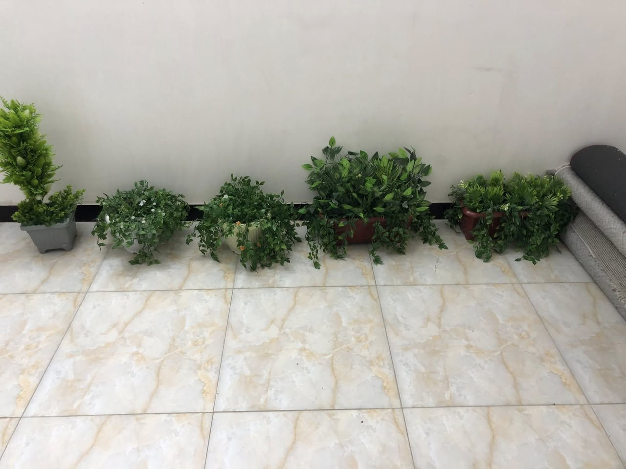 نباتات صناعية جديدة غير مستعملة


**إذا كنت صاحب هذا الإعلان وتريد حذفه لأي سبب، رجاءا أرسل رسالة إلى الدعم الفني**