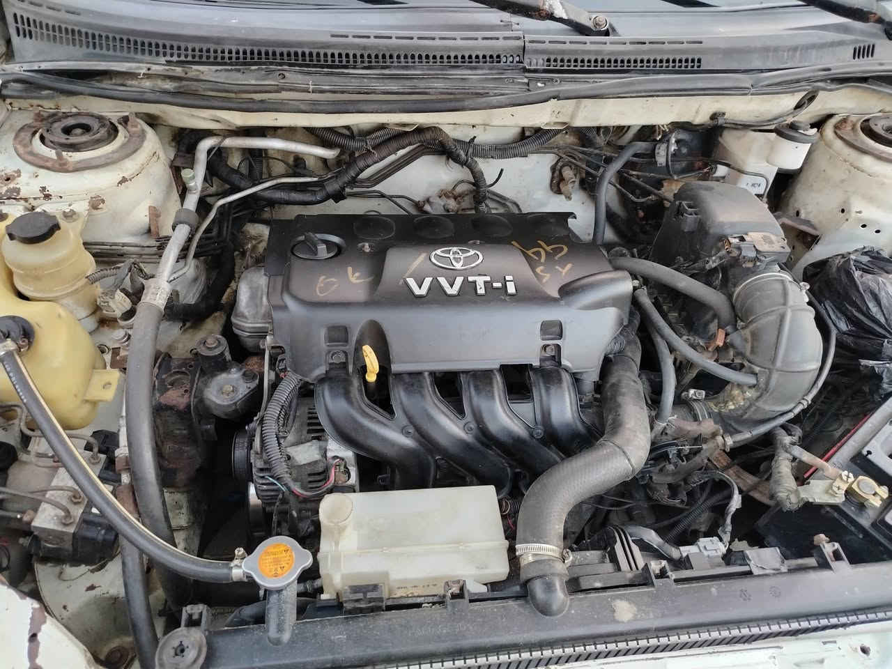 اللهم صلى على محمد وال محمد بيوايدي G3 مكينه وكير بيكاجو المكينه طابوكه جديده حداديه ستوه مسويهه عامه تخم تاير جديد عقل جديد ول باقي كله جديد مابيه نقص مثل ماتكول جاهزه السياره مال بيت سنويه منتهيه راعيه ضاع مني رقم بغداد بيه وكاله تبريد منضومه جديده شرط ثلج🥶السعر 35 مكان السياره بصره حي المهندسين ***********
