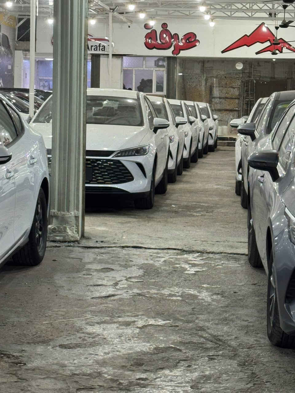 السلام

 عليكم يتوفر جميع انواع بي واي دي 

سيل 05 نص مواصفات     سعر 17600 

سيل 05 فول مواصفات 13 كامره سعره 21 500

سيل 05 ويل كب كروب سعر    18 مليون 

دسترويل لون رصاصي سعر.   17800

جن بلاص لون ابيض وداخل ابيض  سعر. 17400

جن بلاص لون ابيض وداخل زيتوني سعر 17 300

سنوك بلاص العاليه فول مواصفات سعر 28600

عنوان بغداد معارض الكريعات معرض جبل عرفه

ملاحضه جميع السيارات غراضه كامله كاعيات كارت شاحنه فوم كل الغراض كامله 

الاستفسار ***********
