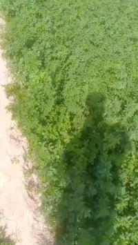 ارض لبيع سعر دونم 10