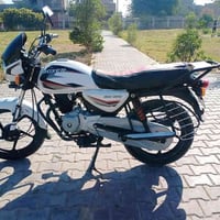 بوكسر • موديل2021 • أوراق ضايعة