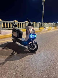 دراجة شحن • نوع 318 • العماري