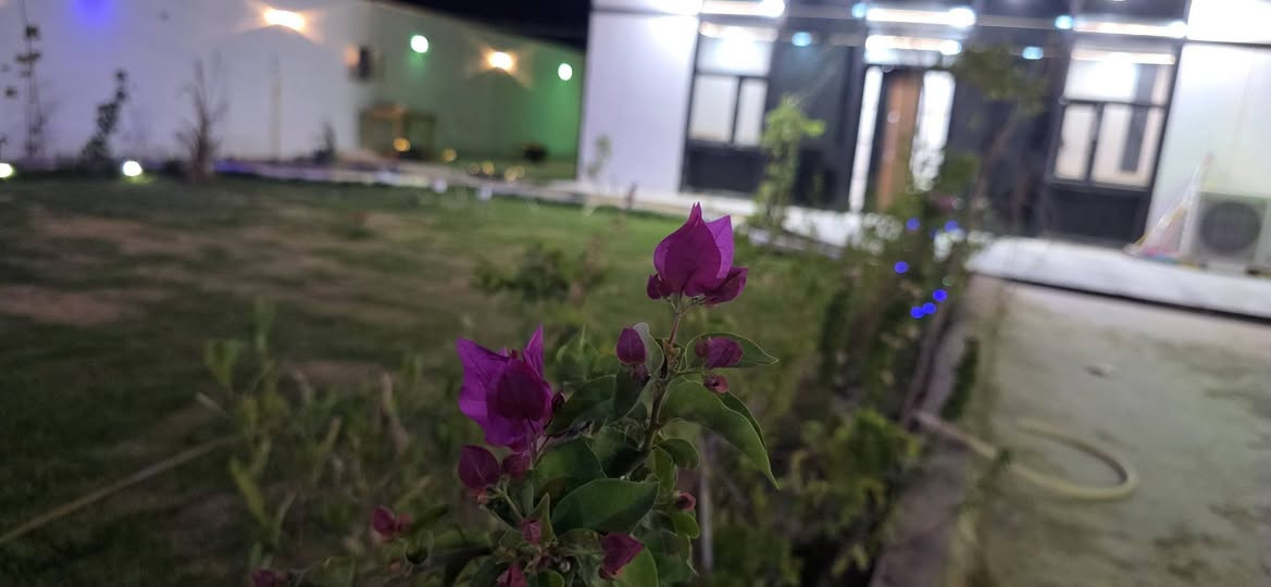 مزرعه عائلية للبيع بمساحه 400 متر
غرفه 5 *3.5
صاله 9*4
مطبخ 3*3 
حمام 2*2 
شامله الاثاث بالكامل ومابيه نقص اي شي
ومزروعه انواع الاشجار رالحمضيات والفواكه
البناء سندويج متعوب عليه جدا
الارضيه كونكريت مسلح رفت
السياج بناء طابوك
شغل درجه اولى ماكو اي نقص بيها تصلح سكن للعوائل وتصلح مزرعه للعوائل
العنوان طريق دغاره ديوانيه نزله مجمع الكرار والخدمات تبليط بالباب وماء وكهرباء واناره ليليه نهاريه
مولده شارع بيها مولده خاصه بيها
سبلت 3 طن وسبلت 2 طن
بلازمه حجم 75 كبير الاصل
مطبخ كاونتر وملحقاته كامل مكمل مع ثلاجه
تخم ديوان 20 مقعد مع ميز طعام من الطراز الحديث 6 نفرات
غرفه اخشاب جديد وحديثه
ارضيه سيراميك
الجدار بديل الخشب وبديل الرخام
السقف   سقف ثانوي
الاناره تاسيس درجه اوله
السكي مال حديقه نضام المرشات يعني ماكو اي نقص
الكراج بعرض 4 متر
واجها المزرعه 14 متر
تكدر توخر السندويج وتبني مباشر لان شغل رفت كونكريت مسلح الكراج والمكان البناء والسياج 
للاستفسار اتصل على الرقم
*********** ديوانية, القادسية
