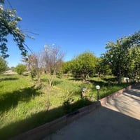 بستان ملك صرف زراعي المساحة دونم ونص الواجهة ٥٠ والنزال ٧٥ مسيجة بي ار...