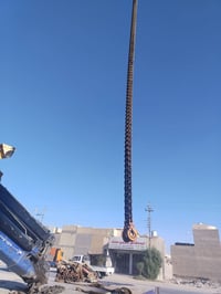 زنجيل مال خمسين للبيع 07825988240