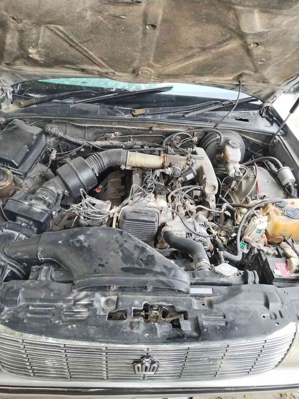 ارنب كصيف مكفوله من الضربه القويه والعيب الشرعي سنويه جديده تحويل ثاني يوم مكينه ونجي بسمي ***********
