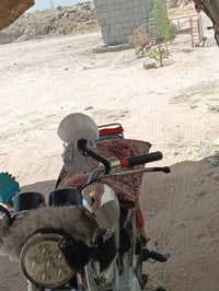 ناعمه • ٢٠٢١ • وراق