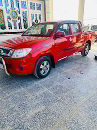 فلاونزه • ٢٠٠٩ • صبغ بالبدي