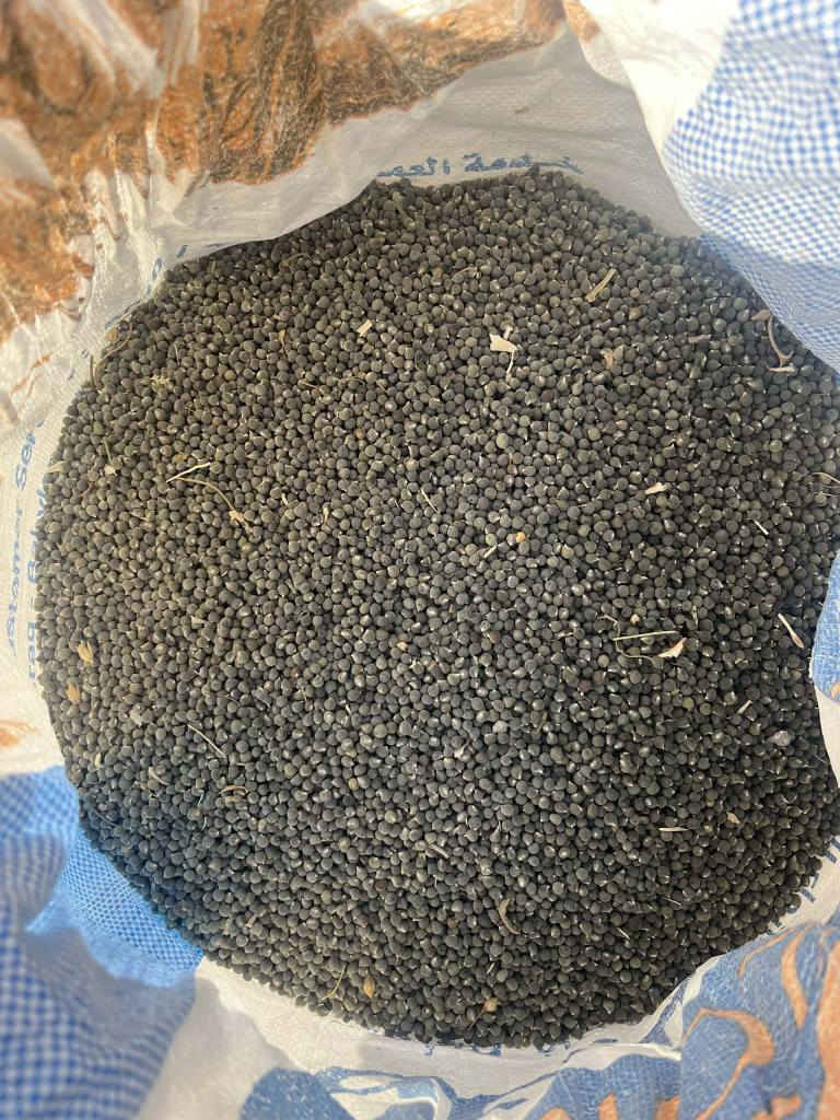 بانيا بتره درجه اولى مامحويه خليته بذور حوايه درجه اولى وهرفيه بالحواي اصل البذور من جارنه ستار الكعبي ابو فارس اتعهد بلبذور وهذا رقمي مثبت عدكم امانة الله ورسوله *********** عمارة, ميسان
