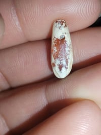 دلوه يماني • حجم حلو