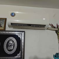 سبلت ميديا • ١ طن • موسم واحد
