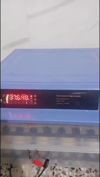 ابدأ مشروعك بخطوة واحدة من بيتك لتصنع مستقبلك💁🏻‍♂️  بـحضانة البيض الذك...