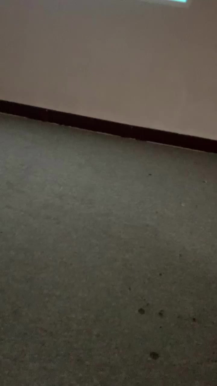 داتا شو ماركة نيبولا  انگر فول hd تدعم hdr10
السعر 400 الف


**إذا كنت صاحب هذا الإعلان وتريد حذفه لأي سبب، رجاءا أرسل رسالة إلى الدعم الفني**