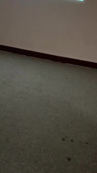 داتا شو • نيبولا • HDR10