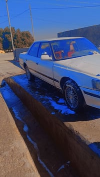 مارك • ١٩٩٠ • الخضر