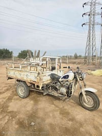 ستوته • دايون • مديل ٢٠