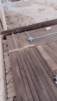 كهربائي • متفرغ • ميسان عماره