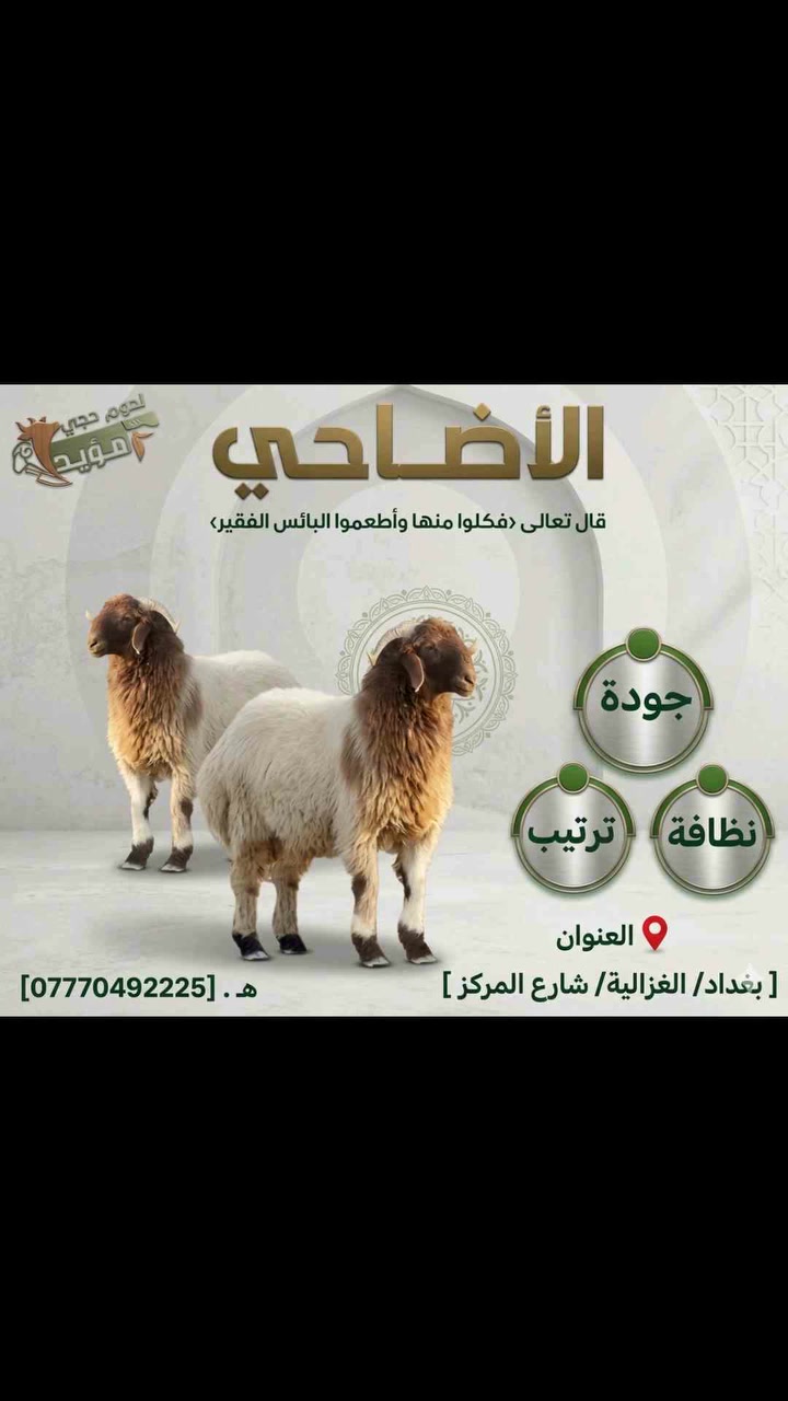 📢 زبائننّا الكرام
▪️ بمناسبة قرب حلول عيد الأضحى المبارك
تُعلن لحوم حجي مؤيد عن توفر الأضاحي وبأسعار مناسبة وجودة مضمونة بإذن الله.

✔️ أضاحي غنم وعجول
✔️ خدمة مريحة وتعامل موثوق
✔️ الحجز متوفر ابتداءً من الآن

📍 العنوان: [ بغداد/ الغزالية/ شارع المركز ]
📞 للطلب والاستفسار: [***********]
🛵 #يتوفر #خدمة #توصيل
