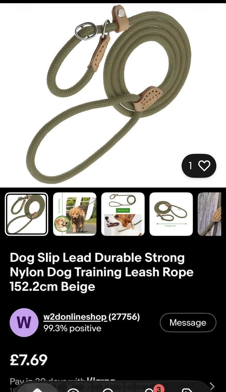 سلام عليكم


**إذا كنت صاحب هذا الإعلان وتريد حذفه لأي سبب، رجاءا أرسل رسالة إلى الدعم الفني**