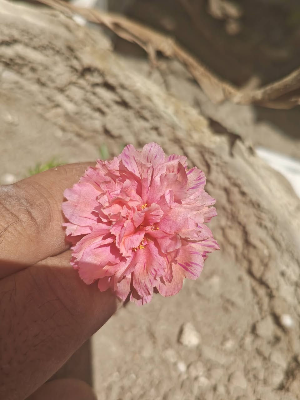 من رخصة الادمنية
٢ سندان ب ٥ ويوجد توصيل لكل العراق


**إذا كنت صاحب هذا الإعلان وتريد حذفه لأي سبب، رجاءا أرسل رسالة إلى الدعم الفني**