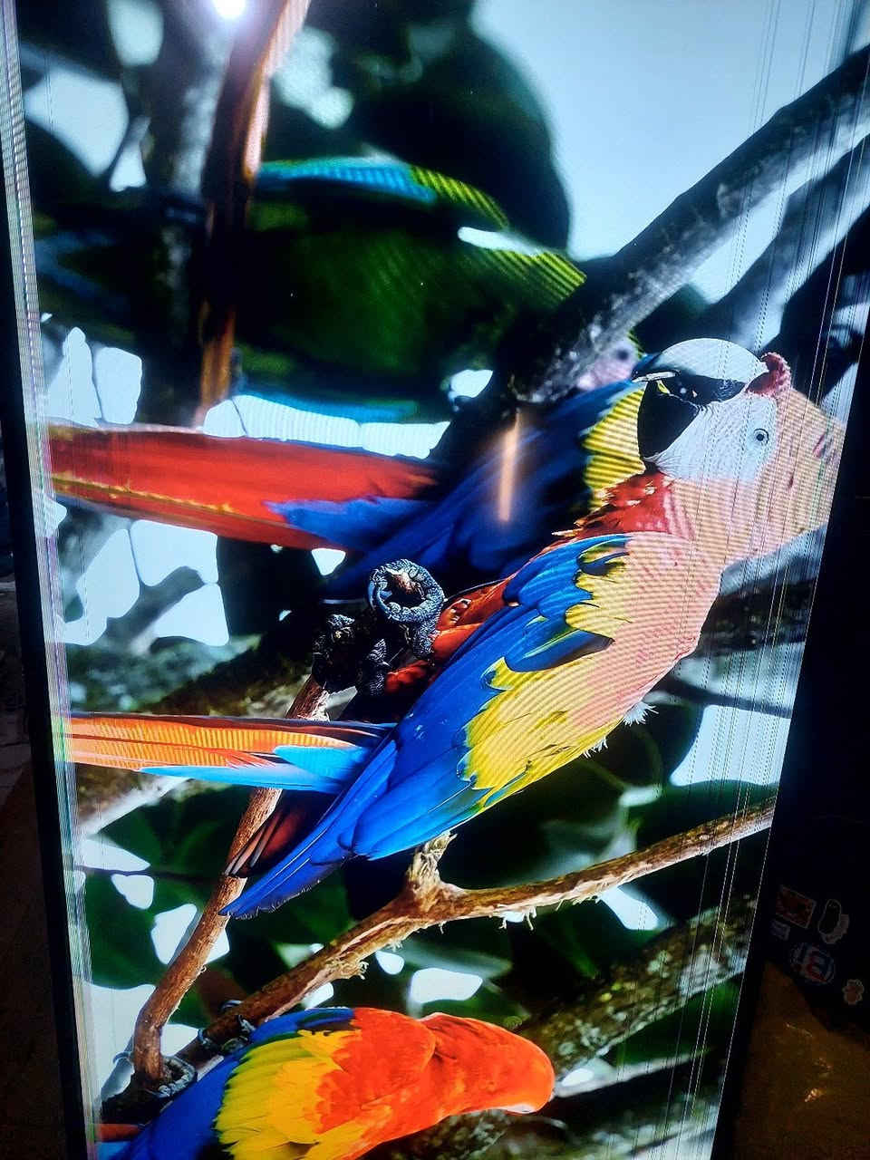 شاشه نوع وادي حجم ٥٥ سمارت 4k تفتح كل التطبيقات بيهه خطوط مماثره السعر ١٥٠ الف ..بغداد..المشتل ***********
