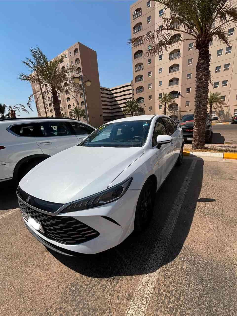 BYD Qin Plus 2025
للبيع بسعر ١٧ مليون وبيها مجال 
بيها قطعتين جاملغ خلفي تصليح وباب خلفية وكالة تبديل 
السيارة ماشية 2000 كيلو متر مرقم بغداد وكامل ملحقاتها 
عنوان : بغداد / بسماية 
للتواصل على الواتس: 
***********
