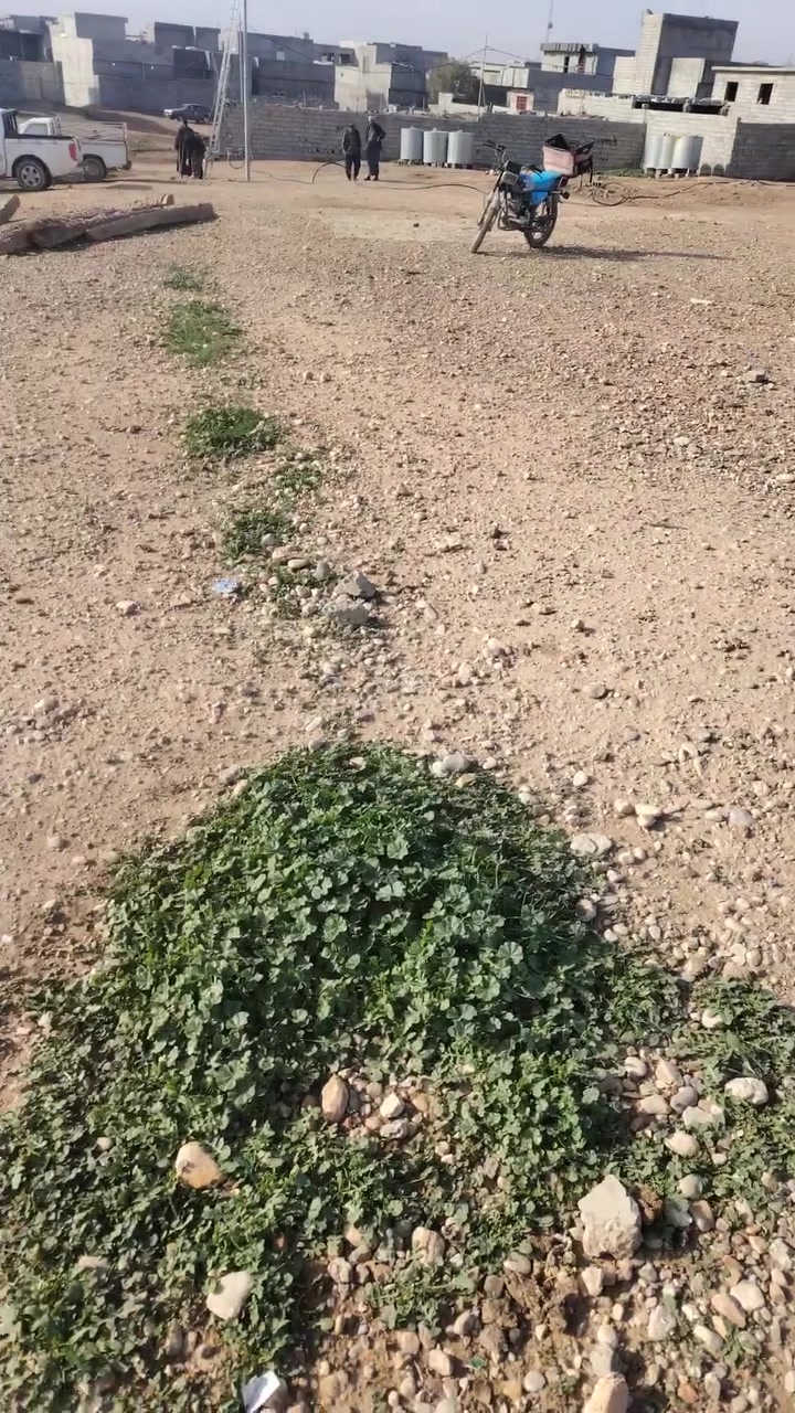قطعة ارض للبيع  رقم الهاتف ***********
