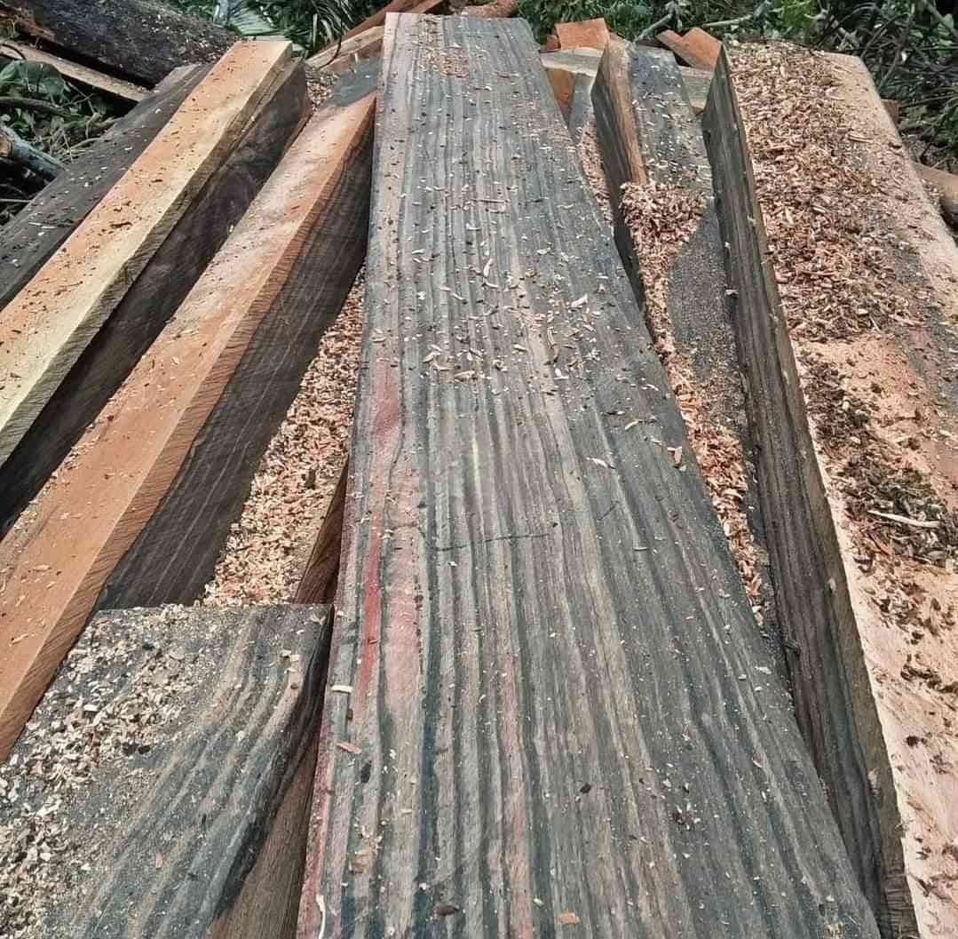 Ebony/Amara wood . Ebony Amara  Ebonywood Amarawood Diospyros celebica Bakh Diospyros rumphii Bakh Diospyros spp D. ebenum Koen, D. ferrea Bakh, D. lolin Bakh, D. macrophylla BI, D. cauliflora BI, D. areolata King et G)


**إذا كنت صاحب هذا الإعلان وتريد حذفه لأي سبب، رجاءا أرسل رسالة إلى الدعم الفني**
