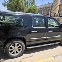 يوكن دنلي • ٢٠٠٩ • بصره