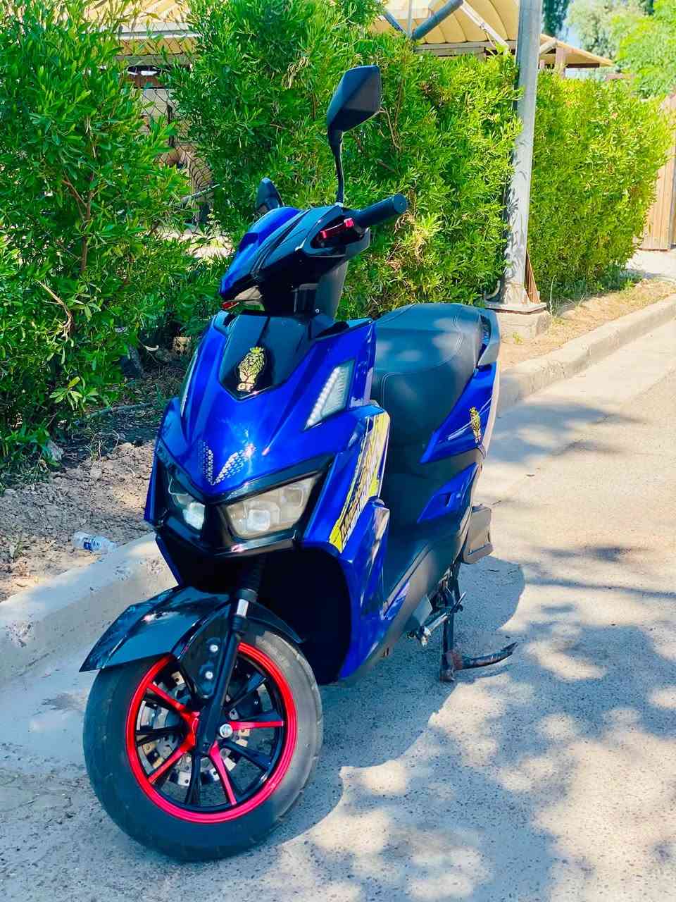 دراجه سكنس شحن GT حسن وحسين 2025
6 بطاريات زينات ع الفحص 
تمشي 50 كيلو بالشحنه الوحده 
ملف 2000 
3 نمر سرعه سرعتها 70 حقيقي 
بيها نظام بك ( الرجوع للخلف )
بيها بارك 
نظافه 90‎%‎
سويج 2 بصمه 2 
سعر 580
مكاني اليرموك 
رقمي ***********
