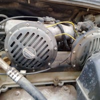 هورنات بوش إيراني شرط باب اول للبيع تأخذهم شرط دكه ناعمه السعر 180 وبي...