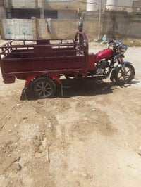 ستوته • شغاله • موديل ٢٠١٩