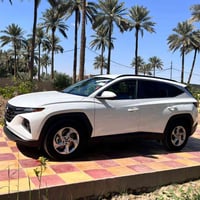 وارد امريكي • حادث باب السايق • ٥٠ الف