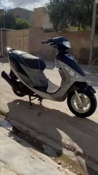 ماكس منغولي • نضيفه • سلف