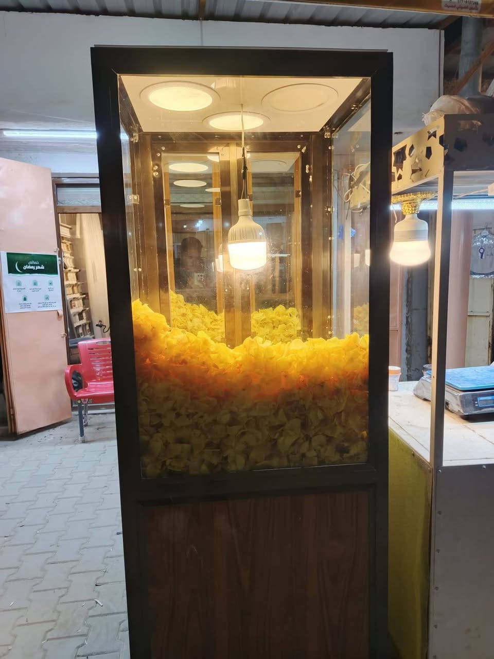 بيع مستعجل 💢


**إذا كنت صاحب هذا الإعلان وتريد حذفه لأي سبب، رجاءا أرسل رسالة إلى الدعم الفني**