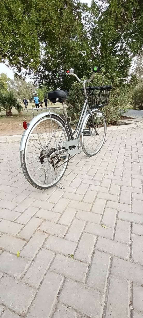 حجم 27
متصرف عليه فلس 
جاهز.. الزعفرانيه
ب 75 وبه مجال
***********
