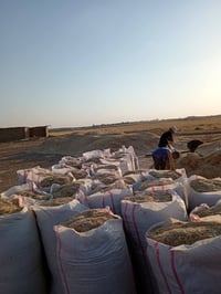 تبن للبيع المكان العبيدي او البيضه  سعر الشل 3500 واصل لباب بيتك سعر ا...