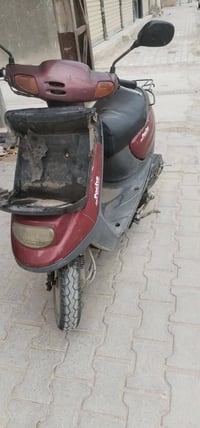 منغولي للبيع ناقصه بس سله الاستفسار 07777756941