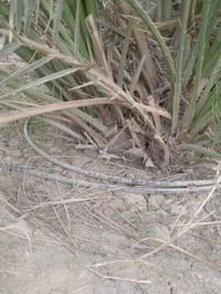 فسائل • بريم وبربن • ناصرية طريق المطار