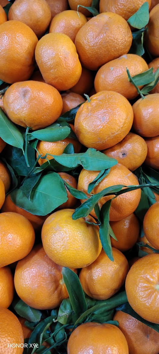 صباح الخير مسواك اليــ﴿ՇôɗαУ﴾ـﯚ۾ 🙂 الاثنين 
فواكه وخضراوات محمد الطائي 
حي تعليم شارع 20 ❤️🌹
قرب ماركة العبيدي 🌹🧡
@أبرز المعجبين


**إذا كنت صاحب هذا الإعلان وتريد حذفه لأي سبب، رجاءا أرسل رسالة إلى الدعم الفني**