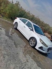 فول مواصفات • ٢٠١٨ • رقم بغداد