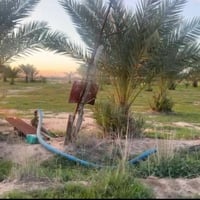 ورحمه الله وبركاته🖐️   يتوفر قطعة ارض عقد117 على طريق بيت برص موقع ممي...