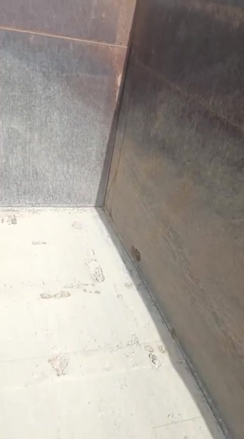 بدي الماني اكتروز طول خمسه وسبعين نظافه مثل مابالصوره النجف الاشرف ***********
